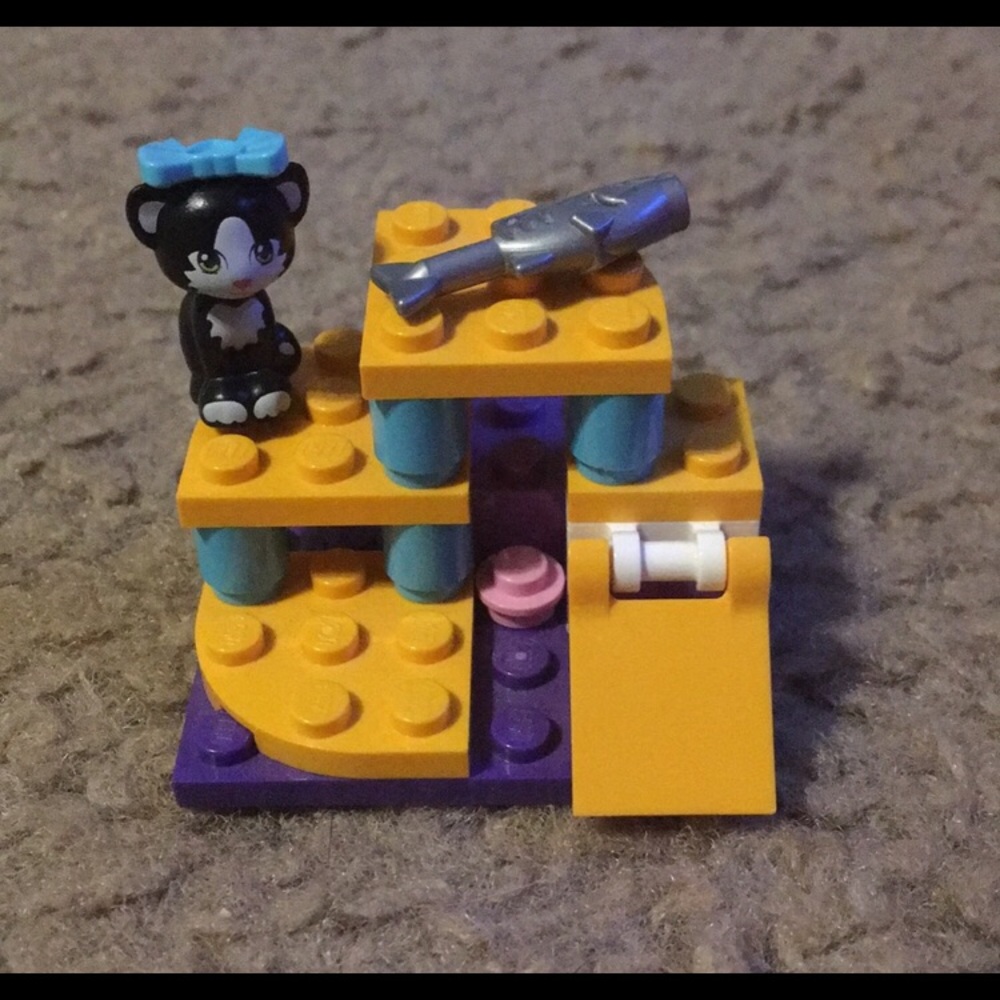 Cat’s playground